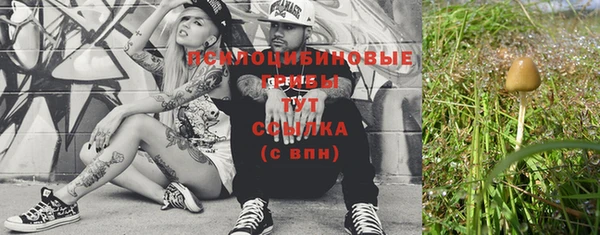 ПСИЛОЦИБИНОВЫЕ ГРИБЫ Усолье-Сибирское