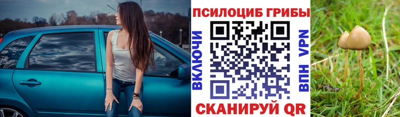 Купить закладки  Тимашёвск  Галлюциногенные грибы Cubensis 