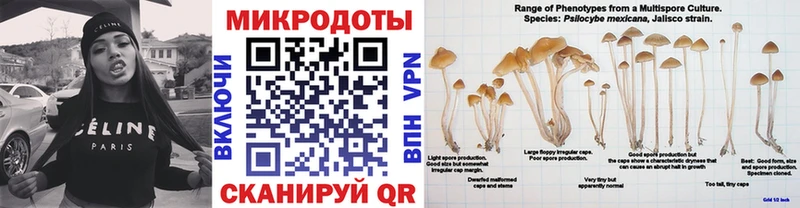 Псилоцибиновые грибы мухоморы Тимашёвск